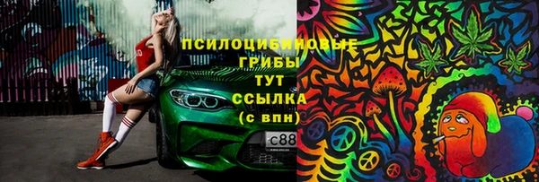 молекула духа Иннополис