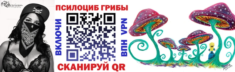 Псилоцибиновые грибы Psilocybe  Купить  Кола 